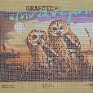 Κεντήματα κορνίζας 40x50 Grafitec 10465