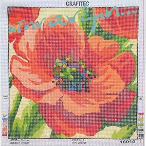 Μαξιλάρια 45×45 - Grafitec 16010