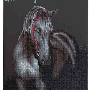 Diamond Dotz DD10.012 49.5x61