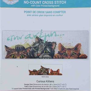 Curius Kittens 50x23 - LadyBird
